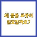 보성군 치매안심센터 | 보성군 홀몸 어르신 돌봄 로봇 보급 신청