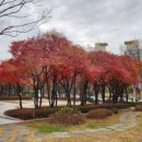 공릉동근린공원 이미지