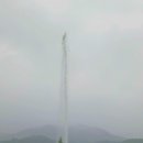 미생(未生)들의 식생(植生) 이미지