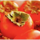 나도 시인 이미지