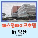 웨스턴캠프 | [익산 숙소] 자부여행의 완벽한 베이스캠프! "웨스턴라이프호텔" 패밀리 트윈 솔직 후기