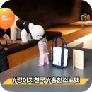 바버펫 | 강아지 천국 홍천 소노펫 클럽앤리조트 E동 실버룸 애견 동반 숙소 상세 후기