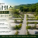 달꿈오토캠핑장