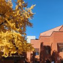 평생학습관(본관) 댄스실 | 종로구 평생학습관 < AI와 함께 글쓰기 > 종이책 제작 AI책쓰기