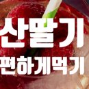 프레시린 이미지