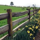 창포 목장 이미지