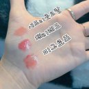 ㈜제이에이치인터내셔널 | 샵한현재 프로 멜트 립밤 3종 발색 후기｜체리레드·애프리콧코랄·피그로즈 비교