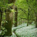 나무와풍경 이미지