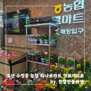 대성농업협동조합(하나로마트) | [오산/수청동] 농협 하나로마트 이유식 장보기 추천 / 리뉴얼 소식과 운영시간 변동 안내