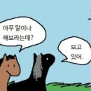 복세편살 네이버블로그
