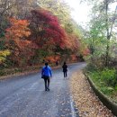 호명호수(정상) 이미지