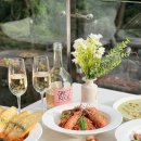 데이지브런치 이미지