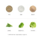 샐러디우