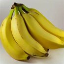 바나나의 효능 &amp; 부작용 이미지