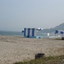 그림횟집
