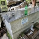 신라샘1 이미지