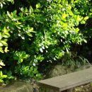 모란스테이 이미지