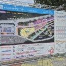 꽃길만걷자 | 인제에서 꽃길만 걷자 가을 꽃 축제 후기!