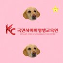 아동복지론 | 청소년복지론 사회복지사2급 선택과목 온라인수강하세요