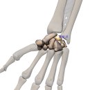 화목한의원 이미지