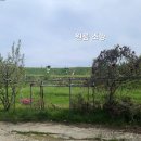 홍성공인중개사사무소 이미지