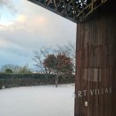 티룸동백 | 롯데 아트빌라스 제주 켄코쿠마 74평형 내돈내산 상세 후기