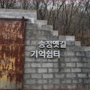 숲 바다 이미지