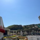 용인시 관광안내소(에버랜드) | 용인에버랜드 튤립축제봄꽃명소 입장권할인 기간 정보