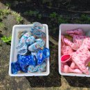 평내초등학교(병설) 이미지