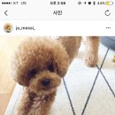 원더우멍 이미지