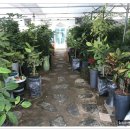 현대농장 이미지