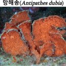 [해양치유관광] 6월 바다여행인 어촌여행지 제주 하도마을, 부산 공수마을