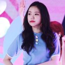 미뇽