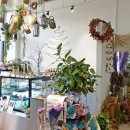 더 피올라 플라워 이미지