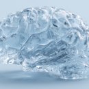 (주)브레인트레이닝센터 이미지