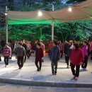 S라인라인댄스 이미지