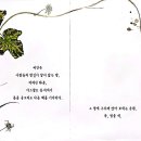 그림책 쏙 켈리그라피 이미지