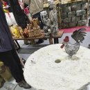 광주 2025 경향하우징페어 이미지