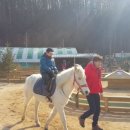 숲속에동물농장 네이버블로그