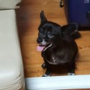 쌍미천로 이미지