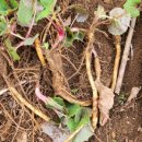 혜림농장 이미지