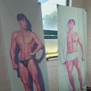 머슬시티 이미지