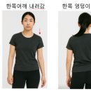 인체의 면에 따른 움직임 이미지