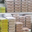 원재농장 이미지