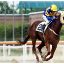 근성목장 이미지