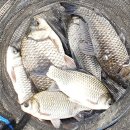 조암낚시터 이미지