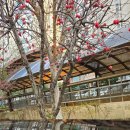 순수세정 | 파이어볼 고체왁스 레어링 세차후기