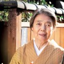 일일시호일 이미지