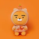 감귤PC Daum카페