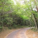 서귀포자연휴양림 이미지